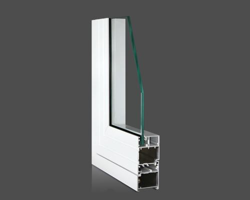 R-MAX EU 55